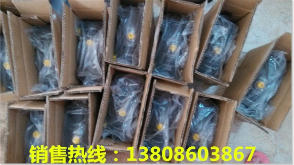 陜西新余擺線液壓馬達(dá)BH-1020QHX